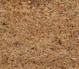 SAHARA GOLD