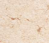 PIETRA LESSINA ROSA GRAFFIATA